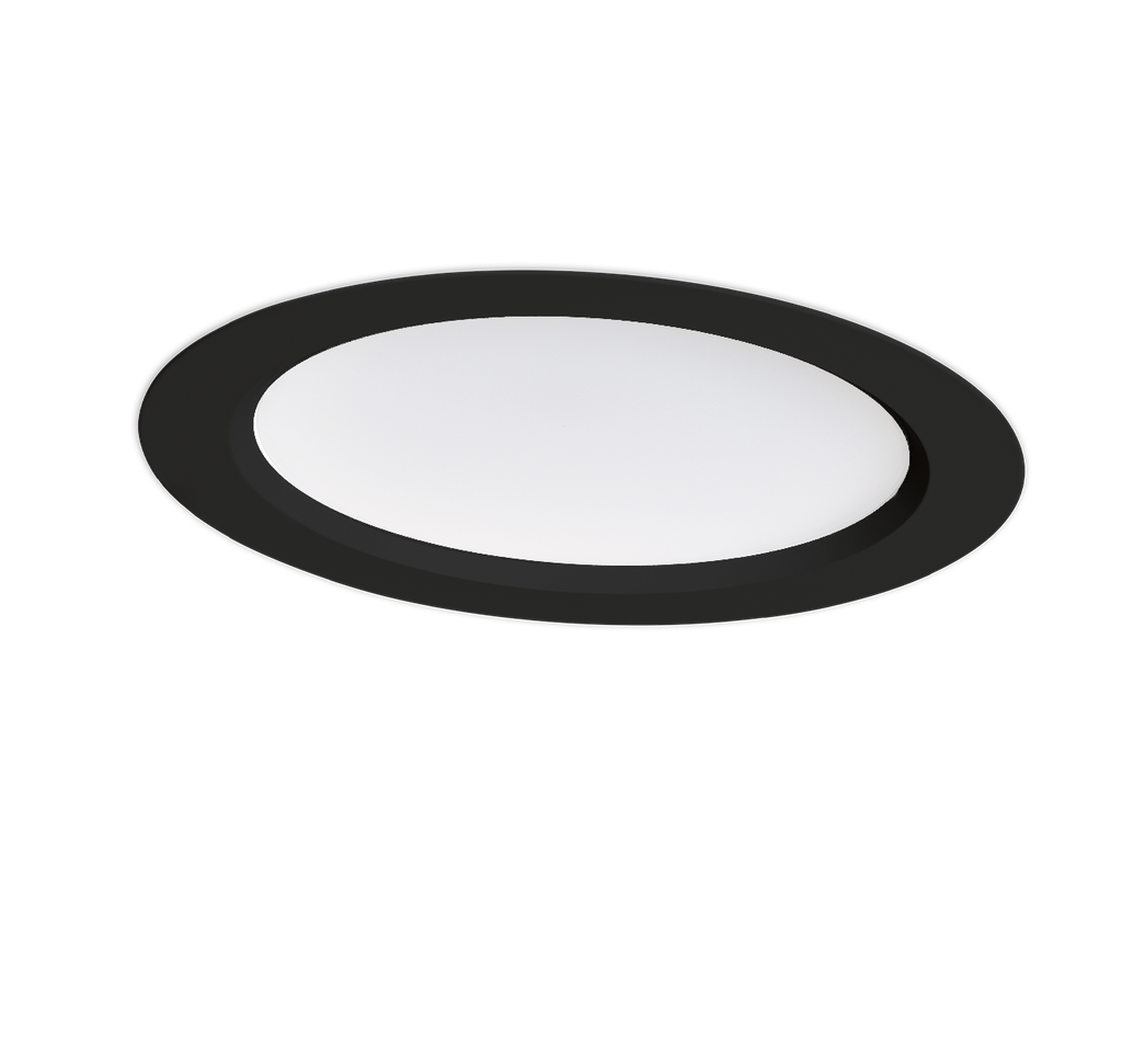 RC 000002527 DOWN 25 downlight