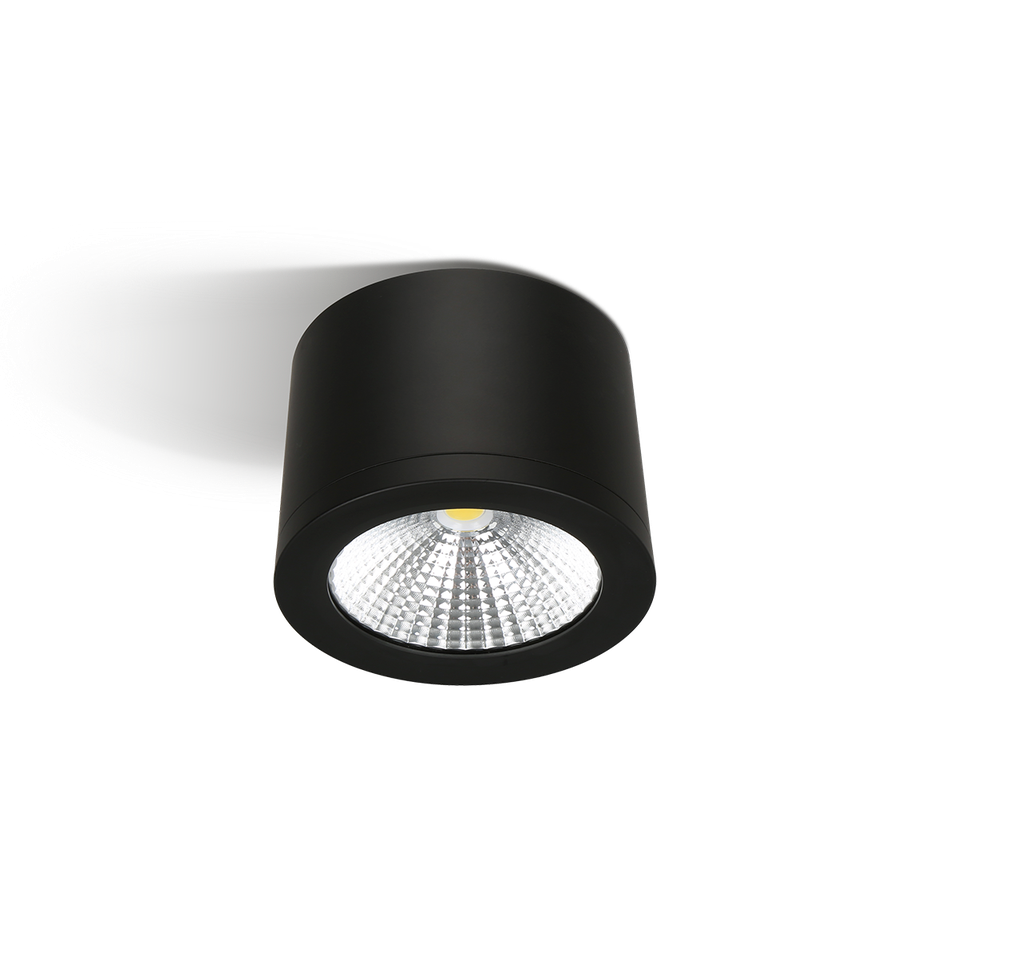 RC 000002234 BOLD 25 downlight