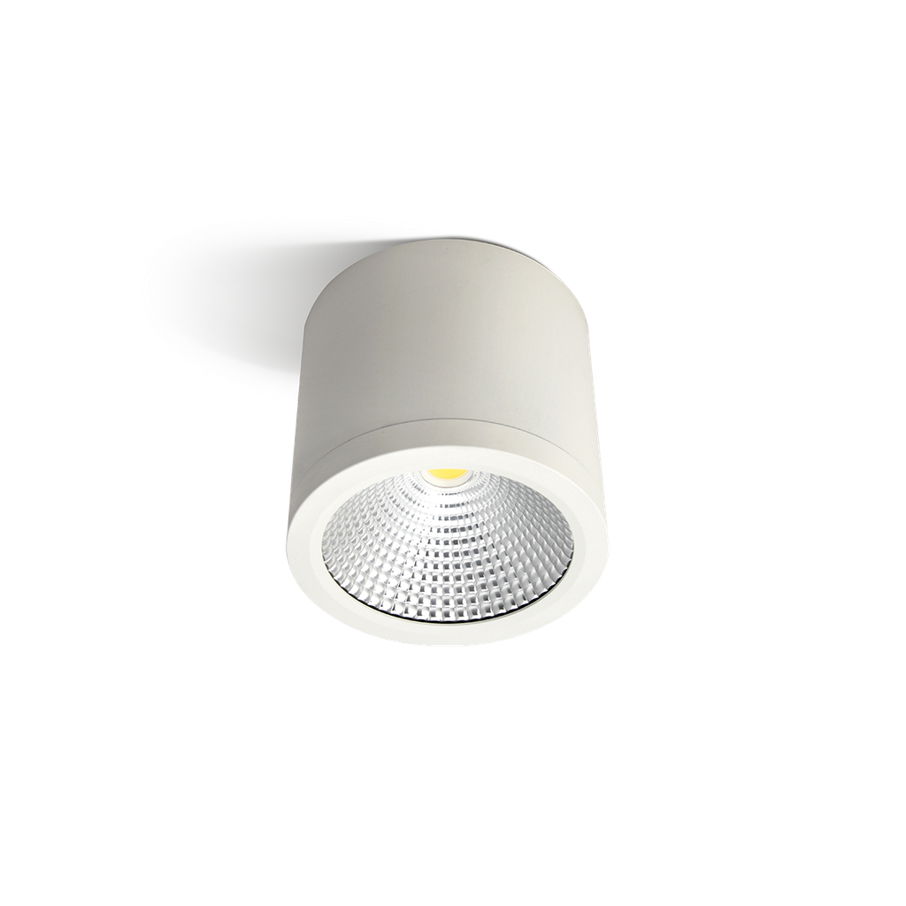 RC 000002230 BOLD 10 downlight